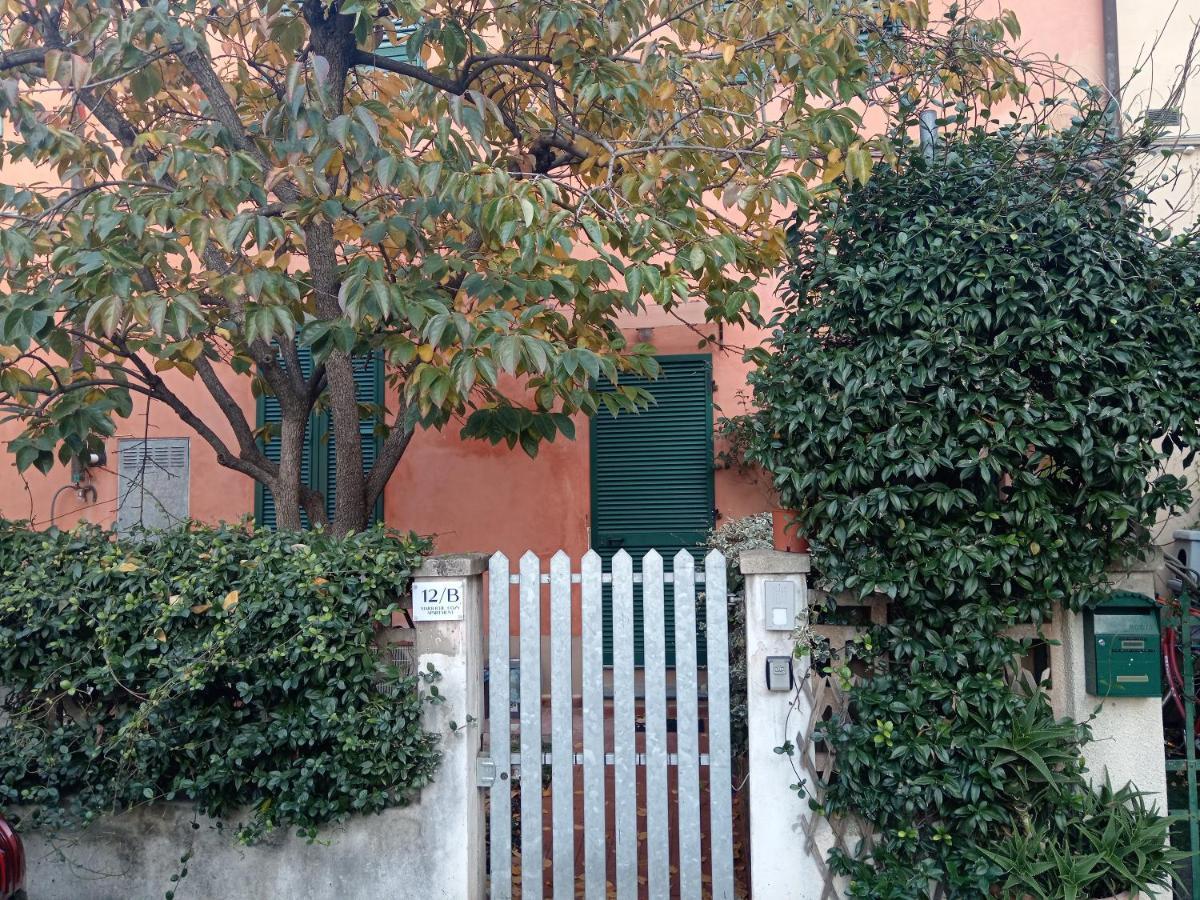 Maioliche Cozy Apartment Pisa Eksteriør bilde